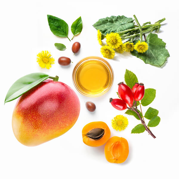 Picture Showing Mango, Apricot,  Kalahari Melon,  Rosehip & Jojoba Oil