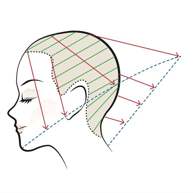 Illustration of hair dressing