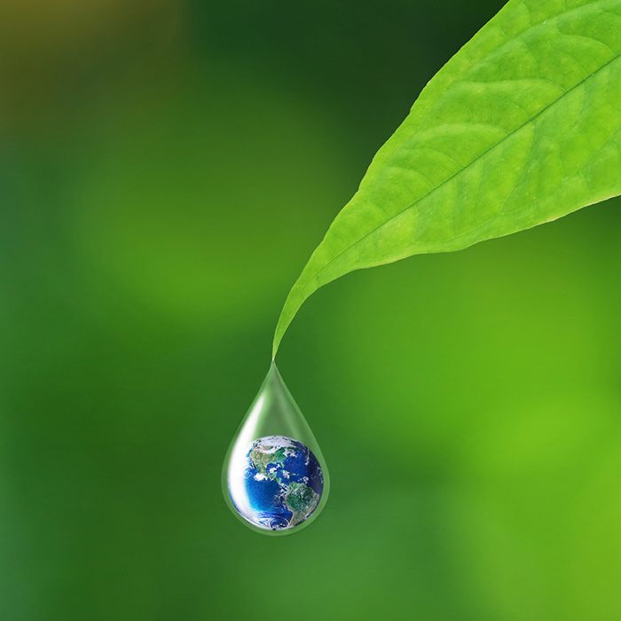 Photo of green leaf with water droplet