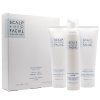 Scalp + Hair Facial Kit - Kit