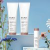 GIVE YOUR CURLS THEIR “SHINING” MOMENT - Bundle